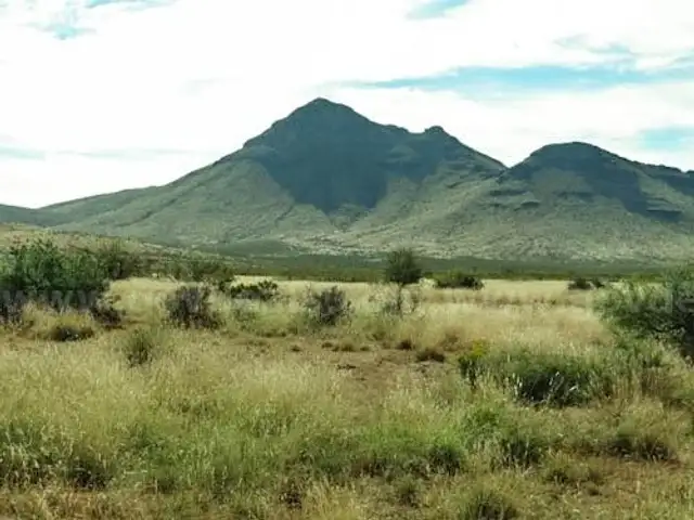 10.5 Acres in McNary Texas - Near El Paso, McGuyers Rd Access, Road, Views,North of I 10