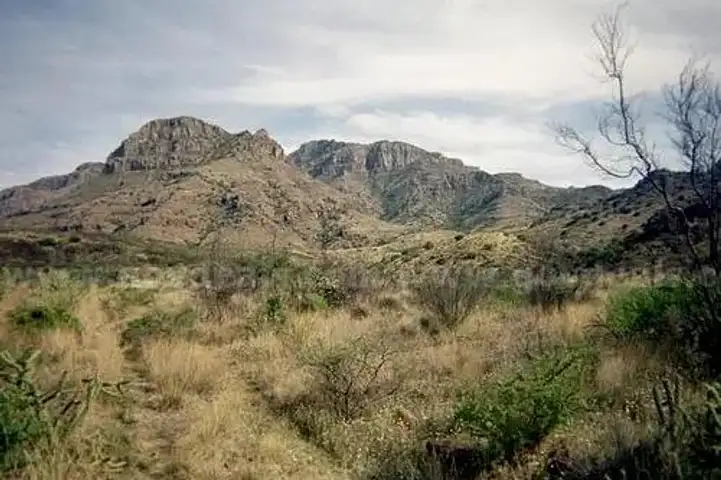 10.5 Acres in Fort Hancock Texas - Near El Paso, McGuire Rd Access, Road, Views,North of I 10
