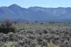 Ranchos De Taos, New Mexico, Power, Views,1/4 acre Lot,Road Frontage, Right off Hwy 64, 7500&#x27; Elevation