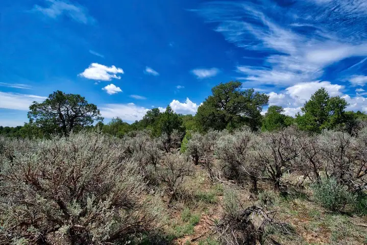 Taos New Mexico, Power, Views,1/4 acre Lot,Road Frontage, Right off Hwy 64, 7500&#x27; Elevation