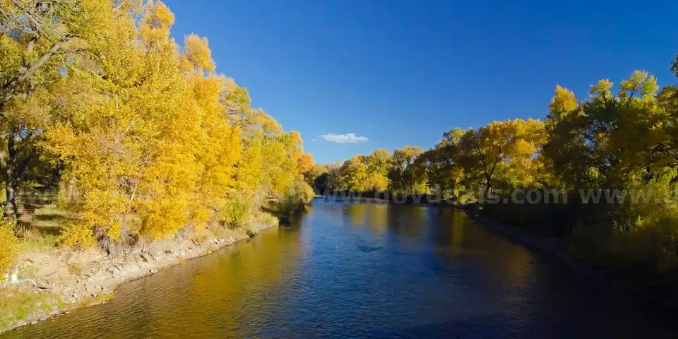 5 Acres Colorado Mtns , Frontage on Nance Blvd, 7500&#x27; Elevation, Stunning Views East of River