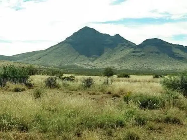 10.58 Acres in Dell City, Texas,Views, Just south of FM 2249, Road frontage