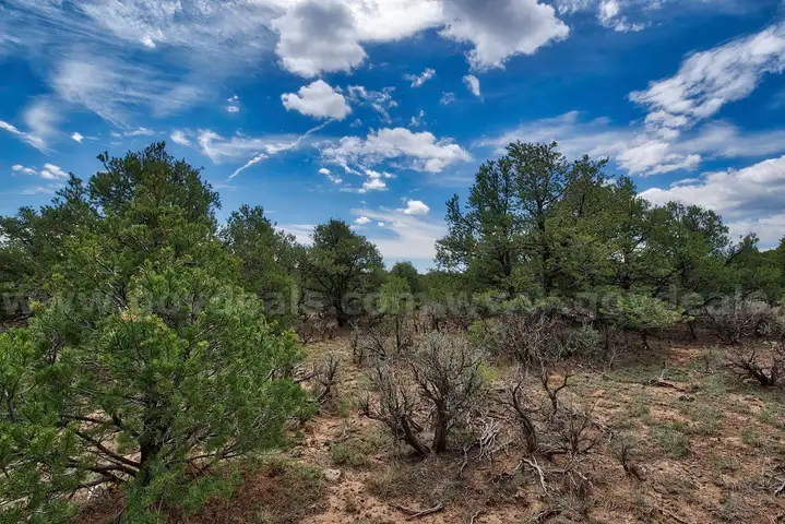 Taos, New Mexico 1/4 acre Lot,Road Frontage, Right off Hwy 64, 7500&#x27; Elevation
