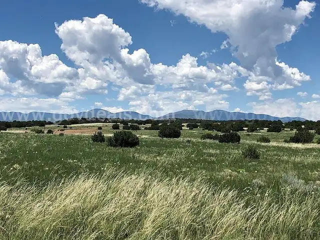 5 Acres Colorado Mtns, Alma Road Frontage, 7500&#x27; Elevation, Stunning Views