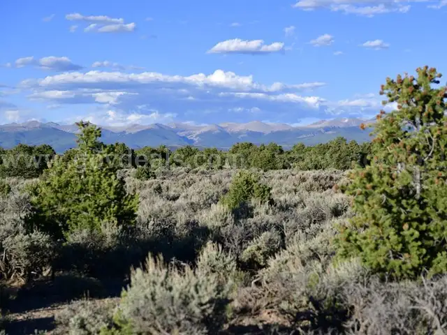 Nicest Parcel Heavily Treed, 2.76 Ac Colorado, Near Sanchez Reservoir, Road Frontage, 7600&#x27; Elevation