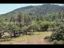 County Road Frontage, Cul De Sac Lot 2.55 Ac Northern California, Near Klamath River, View Lot, Power at lot