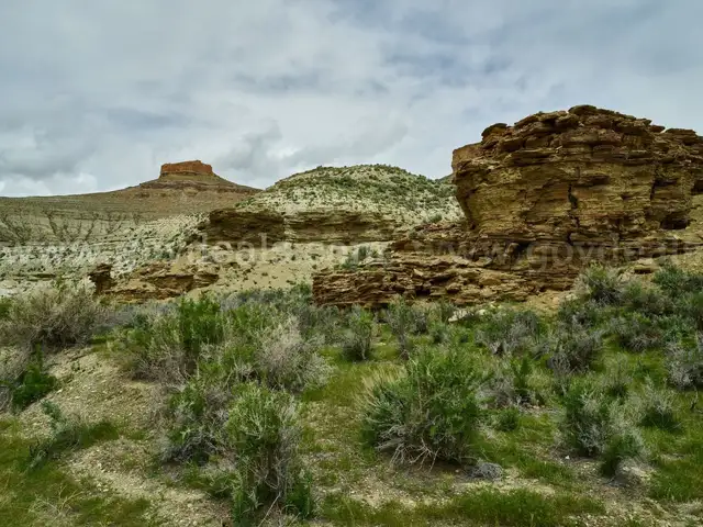 New Year Sale, 10 Acres Western Texas, Access, Power in area, County Road Access