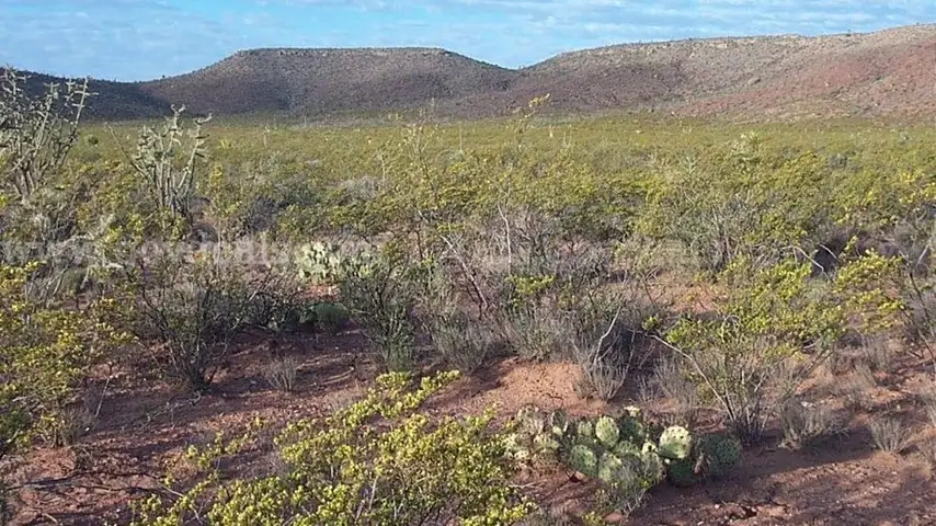 10 Acres Western Texas, Access, Power in area, County Road Access