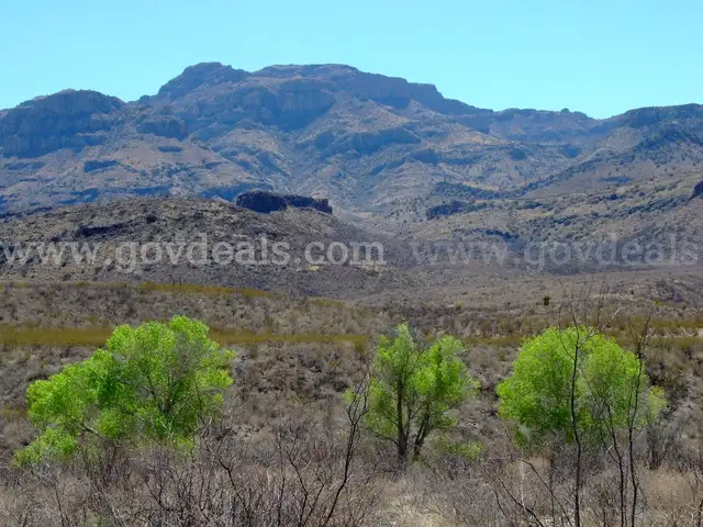 10 Acres Western Texas, Access, Power in area, County Road Access