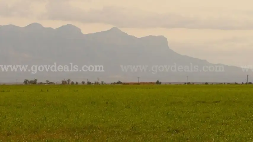 40 Acres Van Horn Texas, Stunning Views, Access, County Road Access