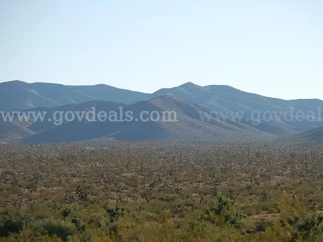 40 Acres Van Horn Texas, Stunning Views, Access, County Road Access