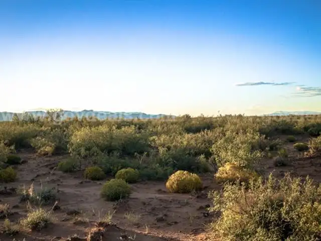 40 Acres Van Horn Texas, Stunning Views, Access, County Road Access