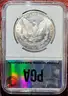 Stunning 1881-S Morgan Silver Dollar PGA Graded MS 64