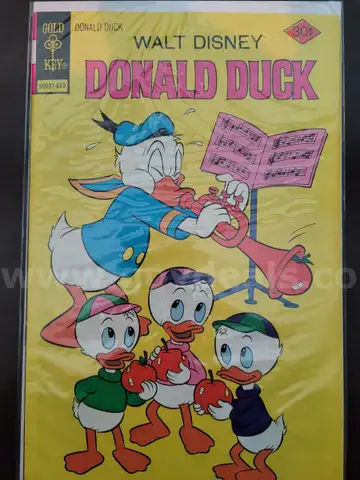 Vintage Comic: Donald Duck (Walt Disney&#x27;s ) #176A | Publisher: Gold Key | October 1976