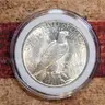 Beautiful 1923 Peace Silver Dollar