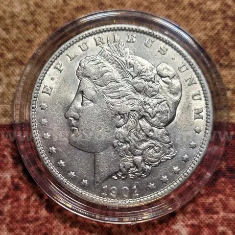 Beautiful Morgan Silver Dollar 1901 - High Grade