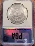 Stunning 1889 Morgan Silver Dollar PGA Graded MS 65