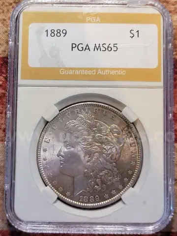 Stunning 1889 Morgan Silver Dollar PGA Graded MS 65