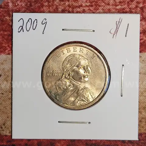 Beautiful Sacagawea Dollar 2009