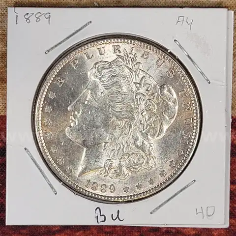 Beautiful Silver Morgan Dollar 1889