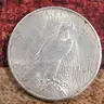 Beautiful Silver Pease Dollar 1923-S