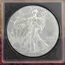 Beautiful Silver Eagle 2016