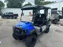 2023 YAMAHA SHARK CART GAS **EEYORE EDITION