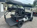2023 YAMAHA SHARK CART GAS **ANIMAL EDITION