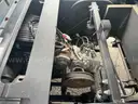 2023 YAMAHA SHARK CART GAS **ANIMAL EDITION