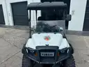 2023 YAMAHA SHARK CART GAS **ANIMAL EDITION
