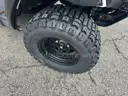 2023 YAMAHA SHARK CART GAS **ANIMAL EDITION