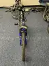 Lot of Six (6) Bicycles / Trek Mountain Bikes (4) &#x26; GT Mountain Bikes (2)
