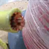 SPOOL OF WIRE