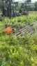 1 Lot Oil Field Equipment (SP: Burke-HP1_2025WP019)