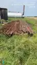 1 Lot Oil Field Equipment (SP: Luthi-HP1_2025WP019)