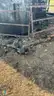 1 Lot Oil Field Equipment (SP: Stauffer Stockenbrand-HP1_2025WP019)