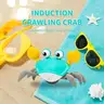 20 Units Of Crawling Crab Baby Musical Kids Toy with Led Lights &#x26; Rechargeable Battery|Inter
