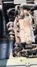 FMC B1200 Wide Body Push Back Tractor