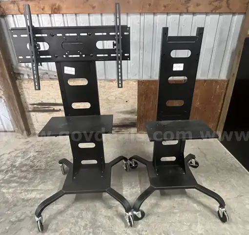 Lot of 2 Mobile Carts