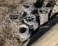 Lot of Posts and Barbed Wire