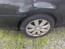 2007 Toyota Avalon XLS