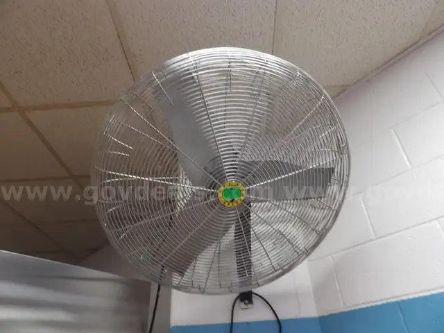 5 Large Fans