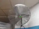 5 Large Fans