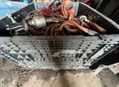 Crate of maybe 30-50 Reliable Equipment Hydraulic 15ton Crimpers Made in USA