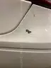 2005 Ford Taurus