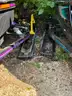 Lot of 2 Snowmobiles and 1 Snowmobile Trailer Used Working condition owners cards and papwerwork for trailer included!