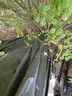 Lot of 2 Snowmobiles and 1 Snowmobile Trailer Used Working condition owners cards and papwerwork for trailer included!