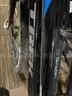 TWO Trek VERVE 2 Bikes One 16&#x22; and One 20&#x22;