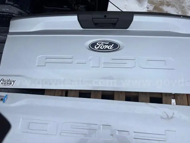 2021-2025 Ford F-150 Lightning Rear Tailgate Assembly Silver Camera Rearview OEM L2