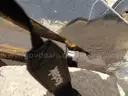 jcb wheel loader